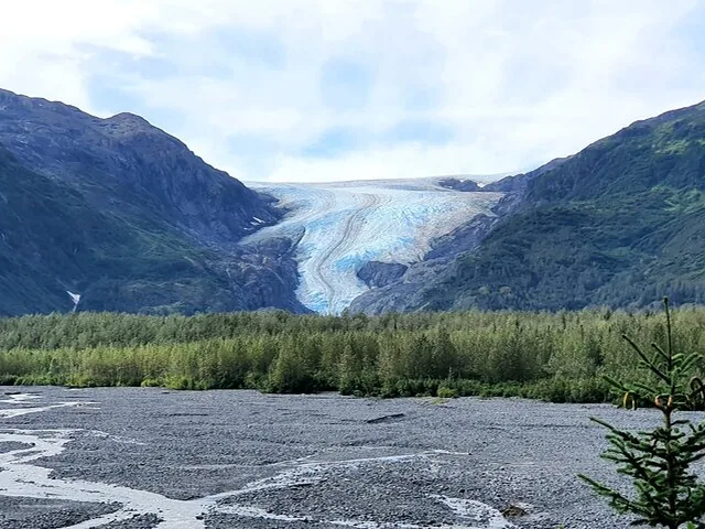 Ein weiter Blick auf den Exit-Gletscher, der zwischen grünen Bergen herabfließt.