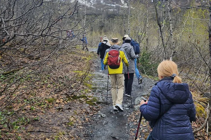 Un groupe de randonneurs marchant sur un sentier à travers une forêt dénudée.